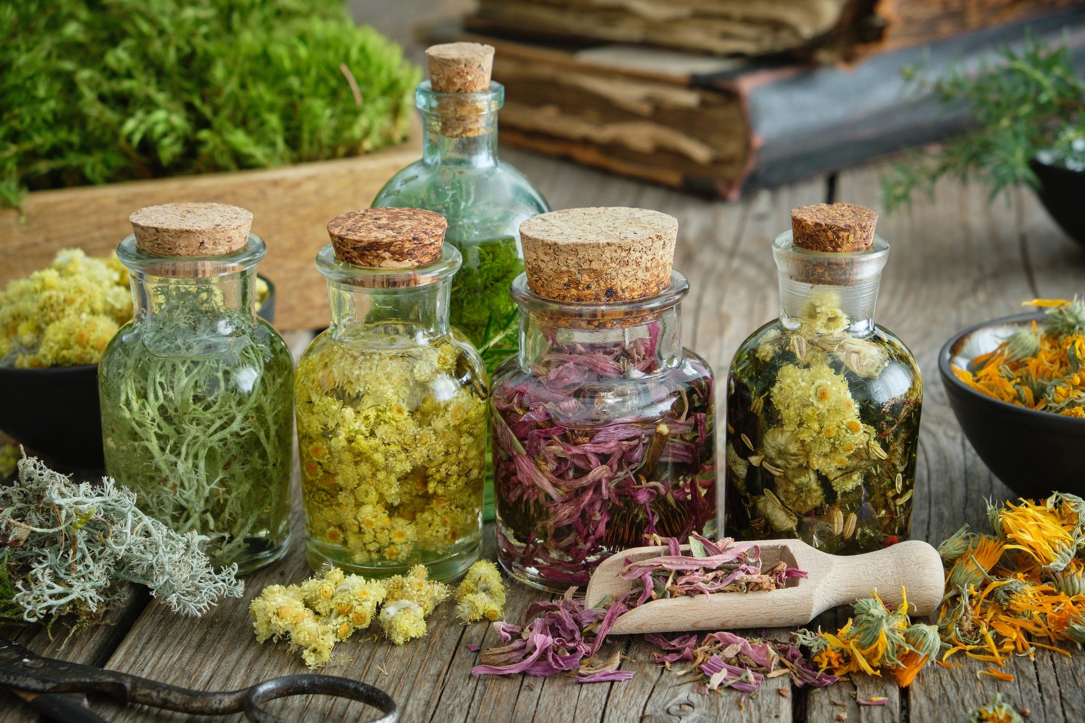 botanical apothecary trust