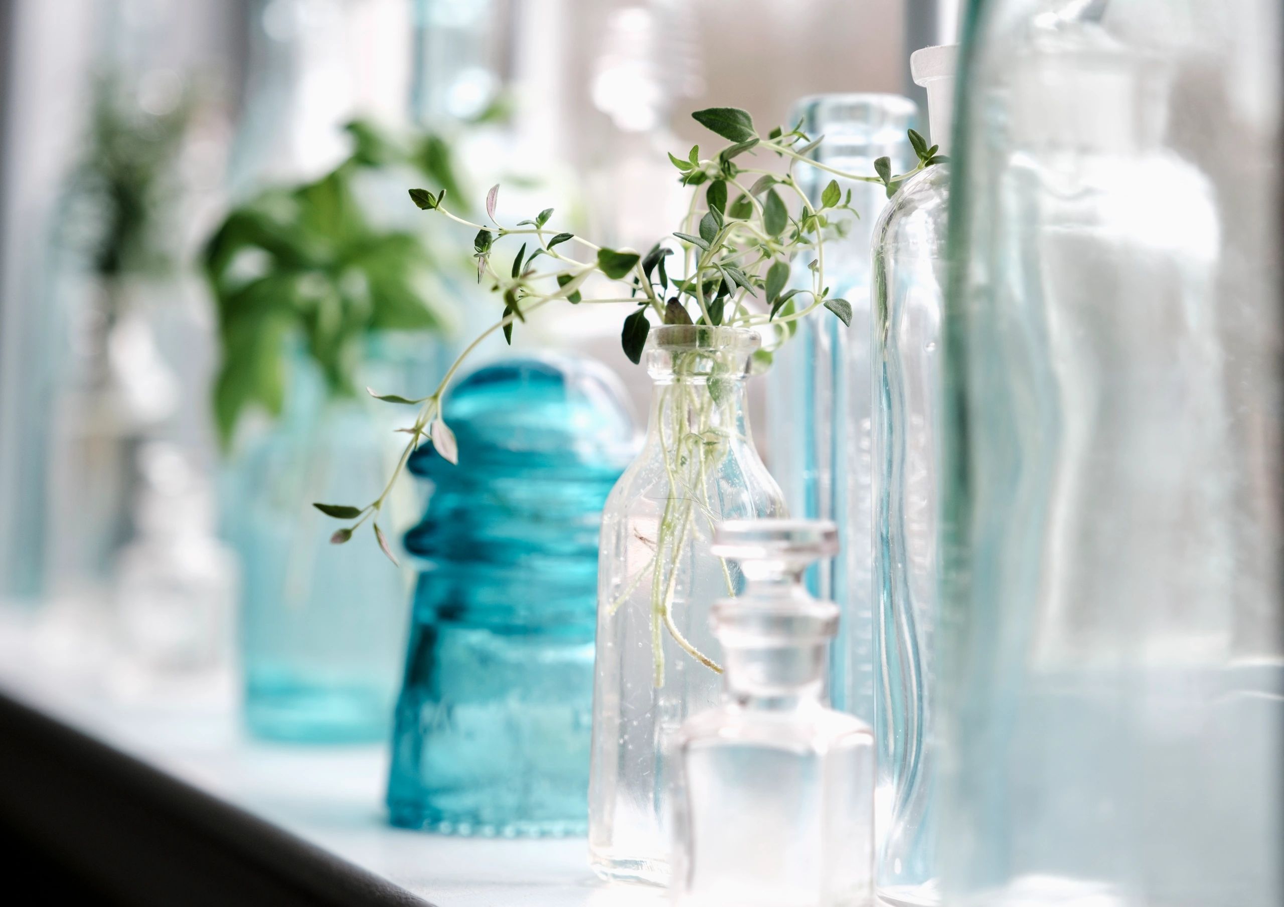 herbs and apothecary jars natural light