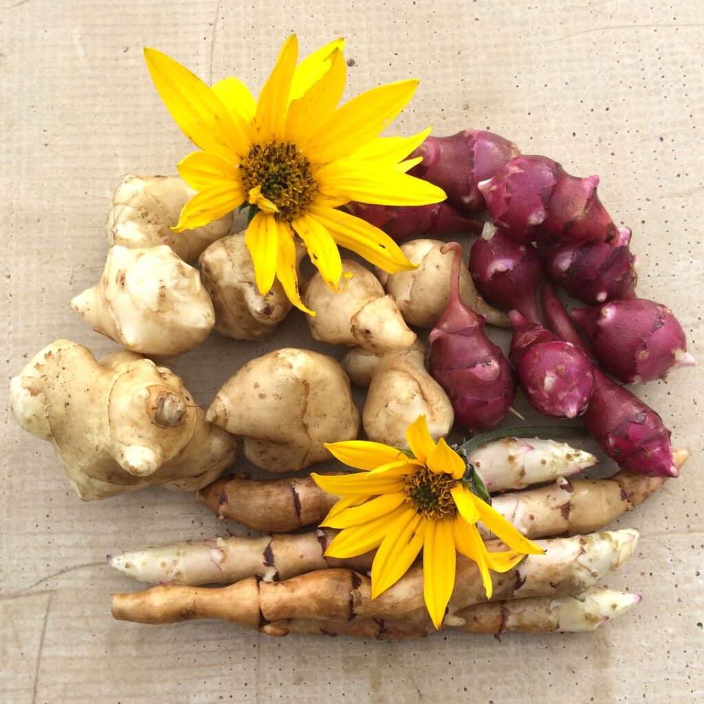 A small arrangement of ginger roots, turmeric, and yellow flowers on a light surface.