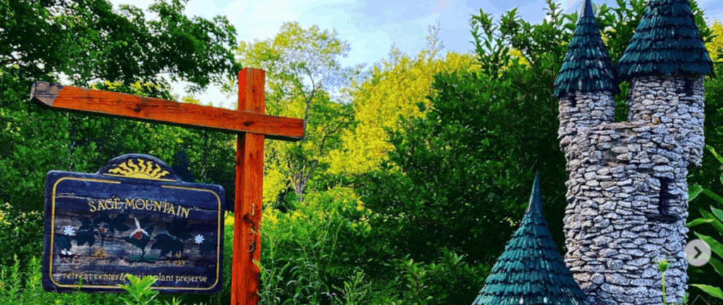 A wooden cross stands among green trees under a clear sky.